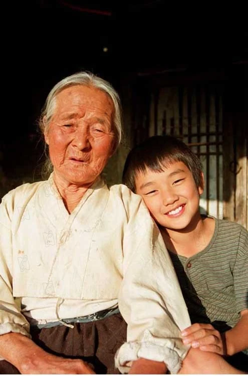 Đường về nhà (2002) – Bộ phim nhỏ mà chạm đến trái tim